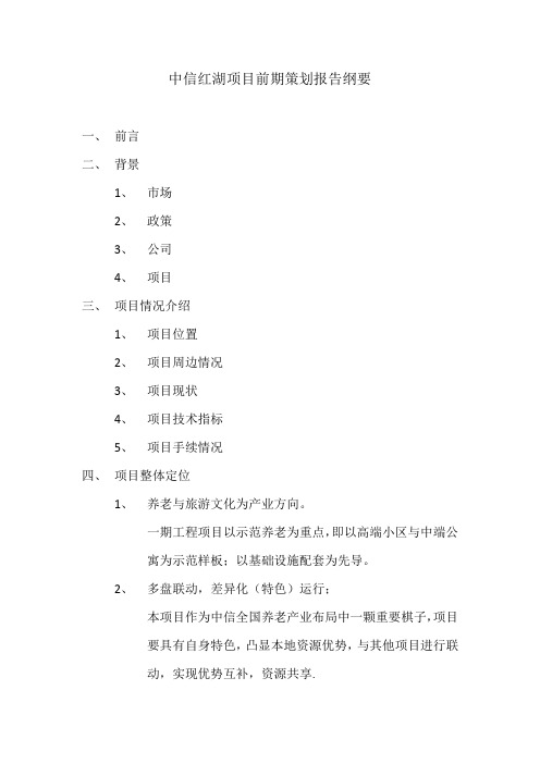 中信红湖项目前期策划报告纲要
