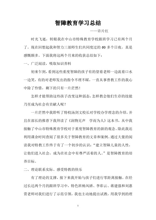 智障教育学习总结