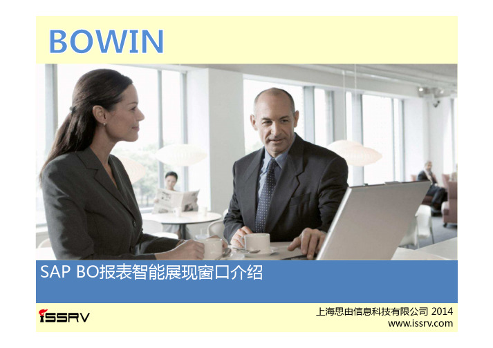 BOWIN报表智能展现窗口介绍