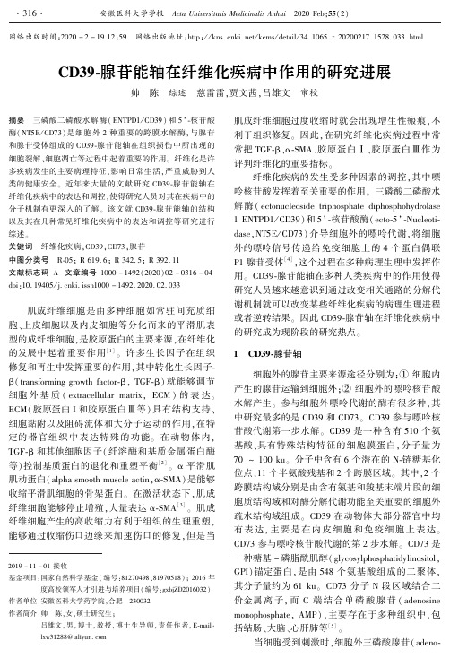 cd39-腺苷能轴在纤维化疾病中作用的研究进展