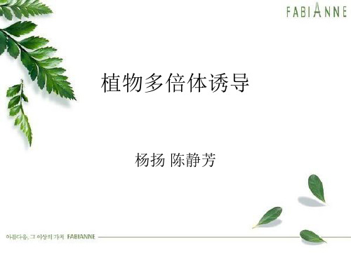 植物多倍体诱导