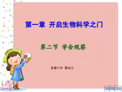 第二节 学会观察