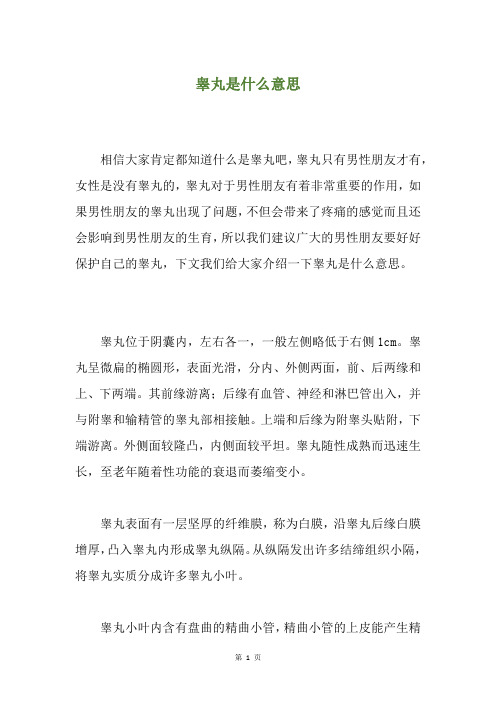 睾丸是什么意思