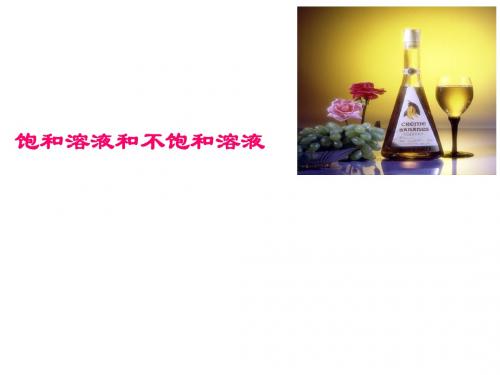 溶液PPT课件24(7份) 鲁教版2