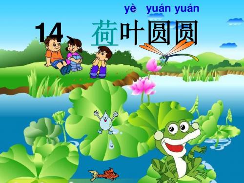 人教版14荷叶圆圆