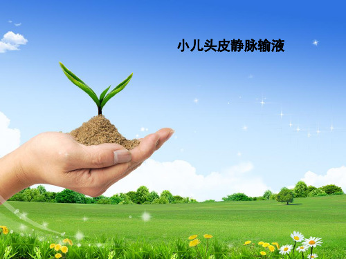 小儿头皮静脉输液