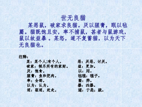 黑天鹅紫水晶品读