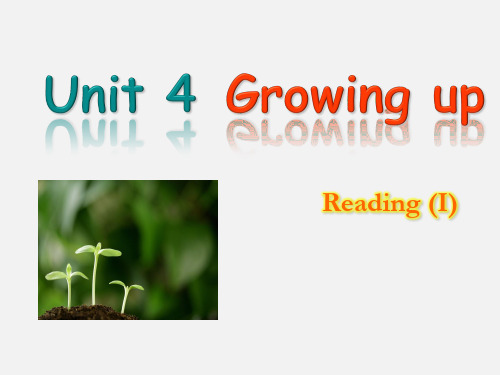 牛津译林英语 九年级上册Unit4Reading (I)(共17张PPT)