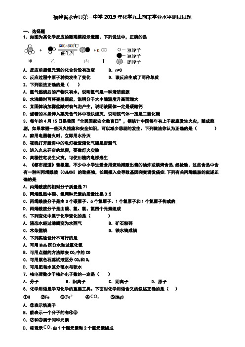 福建省永春县第一中学2019年化学九上期末学业水平测试试题