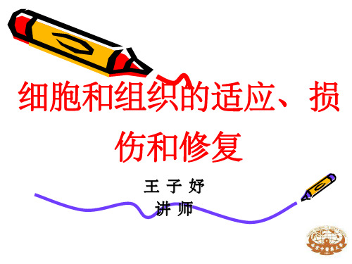 《适应损伤和修复》PPT课件