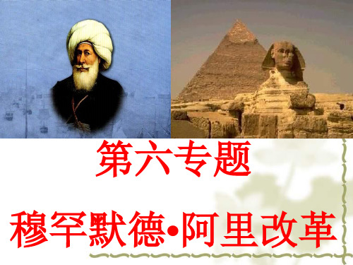 第六专题穆罕默德阿里改革
