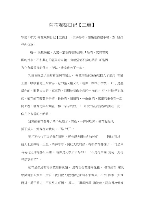 菊花观察日记
