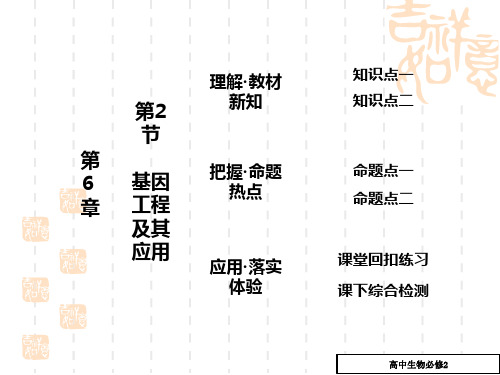 高中生物基因工程及其应用课件1_高一生物课件