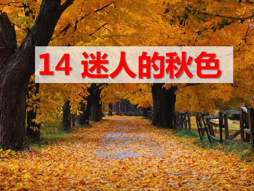 《迷人的秋色》PPT课件