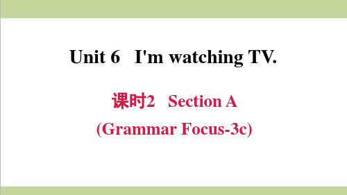 人教版七年级下册英语 Unit 6 课时2 Section A (Grammar Focus-3c) 课后习题重点练习课件