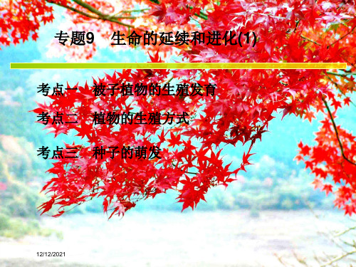 中考科学系统复习 专题9 生命的延续和进化(1)课件