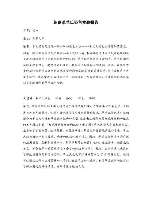 革兰氏染色实验报告