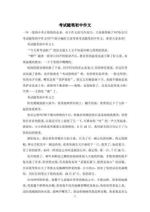 考试随笔初中作文