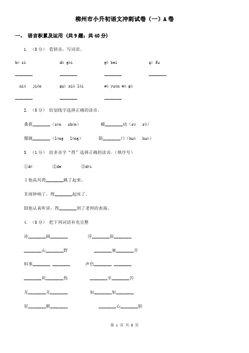 柳州市小升初语文冲刺试卷(一)A卷