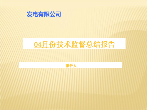 汽机监督技术监督总结报告