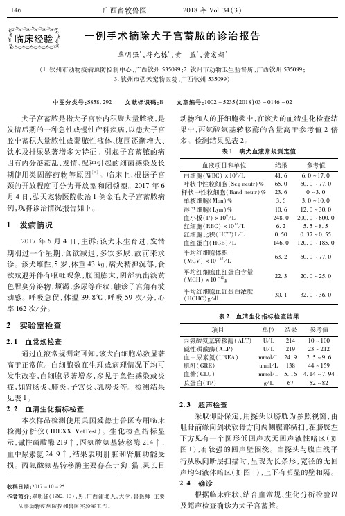 一例手术摘除犬子宫蓄脓的诊治报告