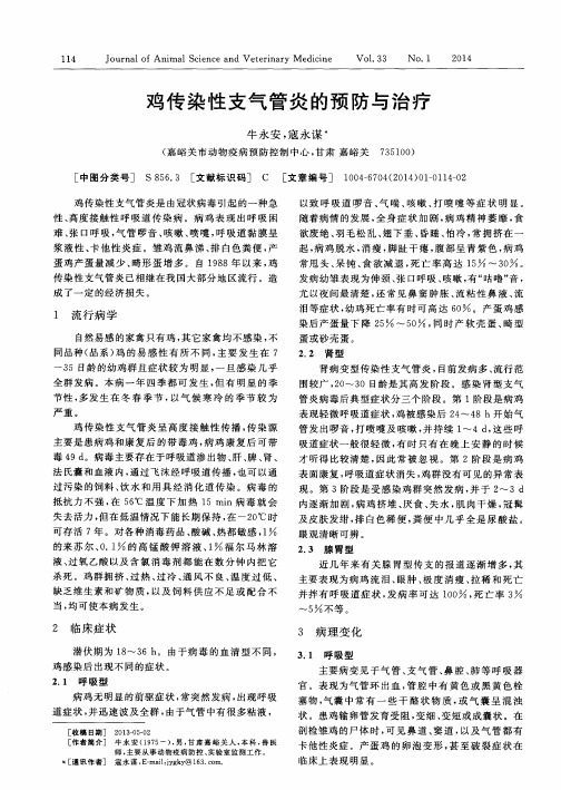 鸡传染性支气管炎的预防与治疗