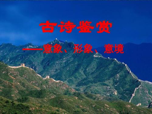 古诗鉴赏——意象、形象、意境改动