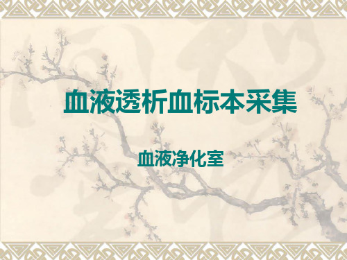 血液透析血标本采集