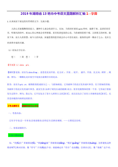 2019年中考语文真题解析汇编——字音 (2)