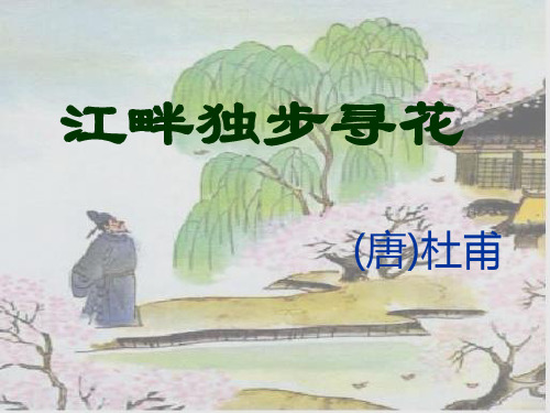 S版语文四年级下册《江畔独步寻花》ppt课件