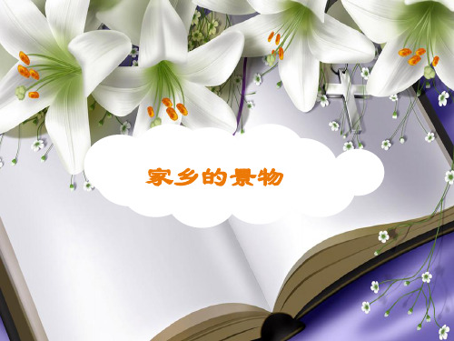 三年级语文园地一习作《家乡的景物》 终稿 2