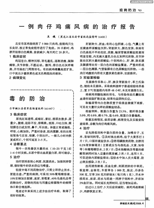 一例肉仔鸡痛风病的治疗报告