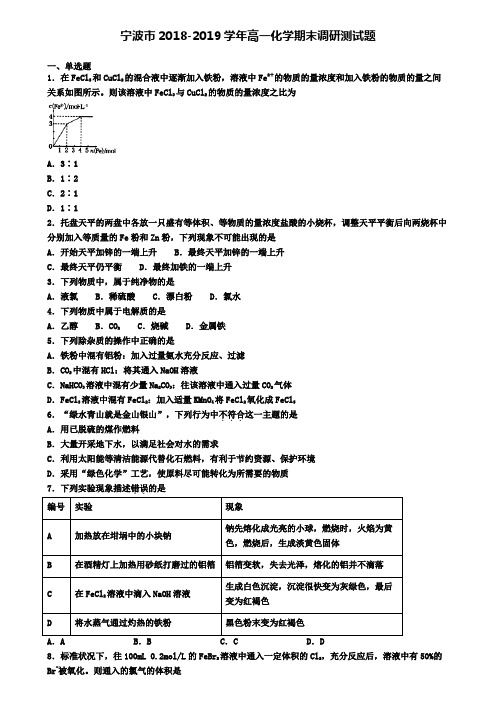 宁波市2018-2019学年高一化学期末调研测试题