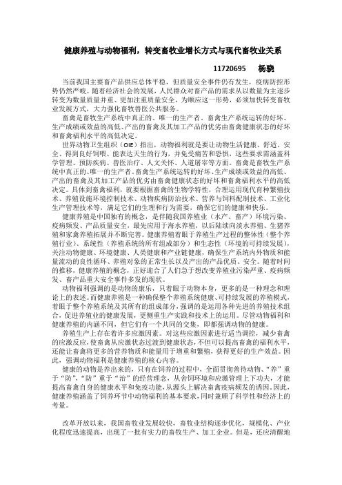 健康养殖与动物福利,转变畜牧业增长方式与现代畜牧业关系