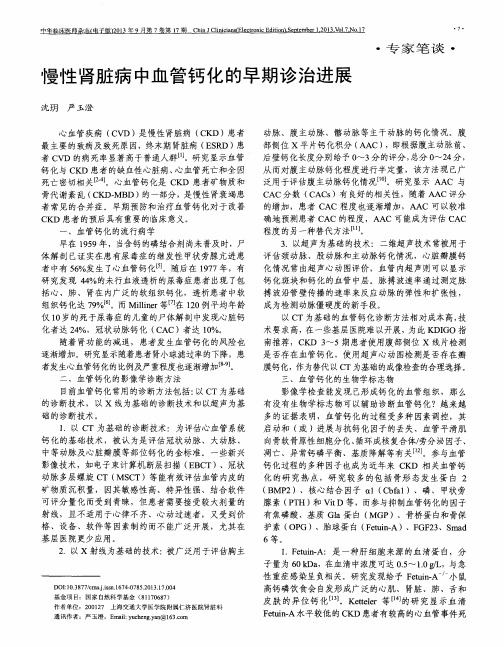 慢性肾脏病中血管钙化的早期诊治进展