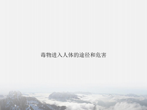 毒物进入人体的途径和危害专项文档