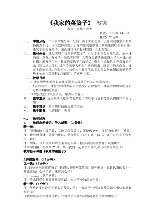 我家的菜篮子 教案