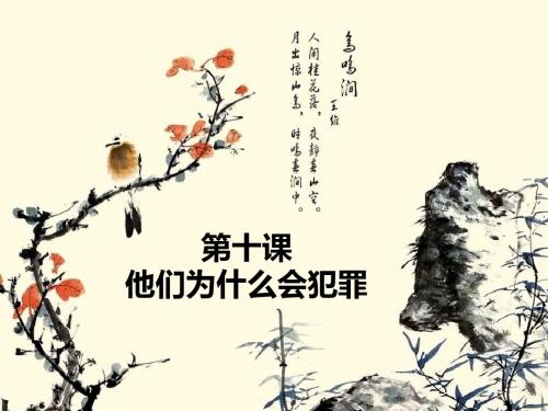 第十课 他们为什么犯罪  课件 人民版八年级上册 (4)