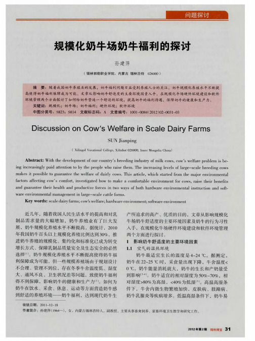 规模化奶牛场奶牛福利的探讨