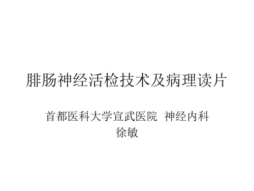 8腓肠神经活检的病理读片