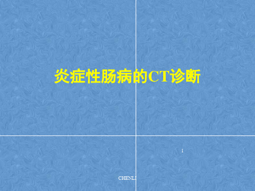 炎症性肠病的CT诊断PPT课件