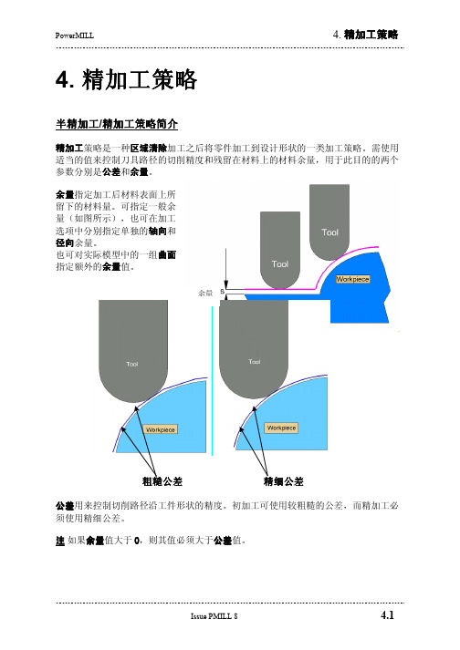 PowerMILL教程精加工策略