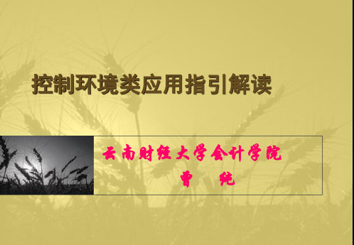 内部控制环境类应用指引