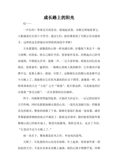 成长路上的阳光