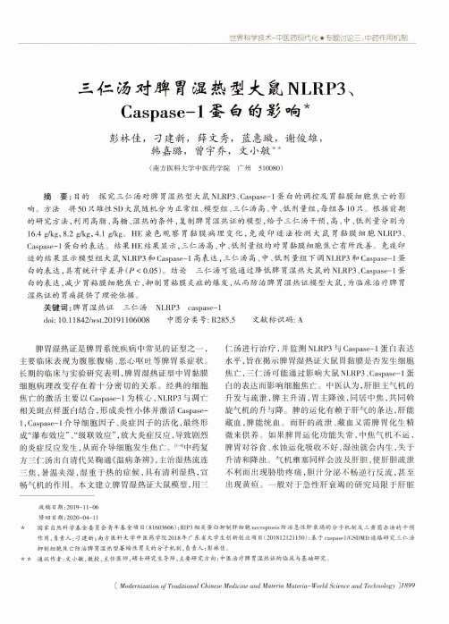 三仁汤对脾胃湿热型大鼠NLRP3、Caspase-1蛋白的影响