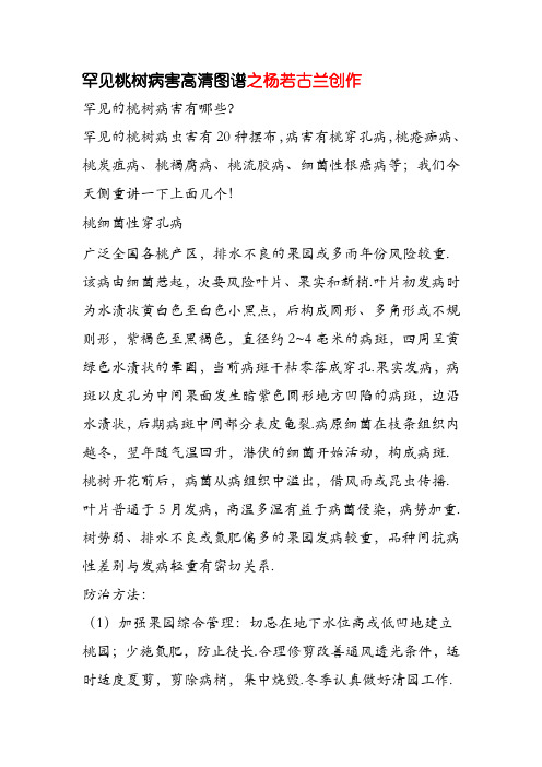 常见桃树病害高清图谱