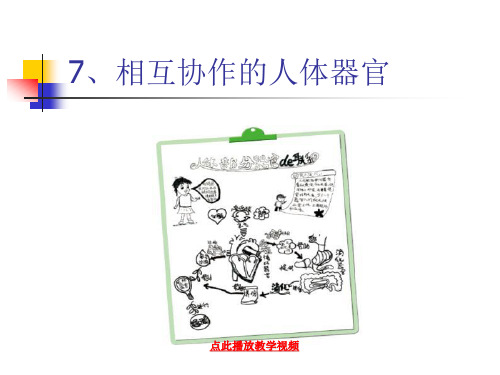 教科版科学四上《呵护我们的身体》ppt