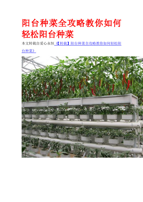 阳台种菜全攻略教你如何轻松阳台种菜