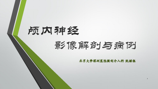 颅内神经之影像解剖PPT课件