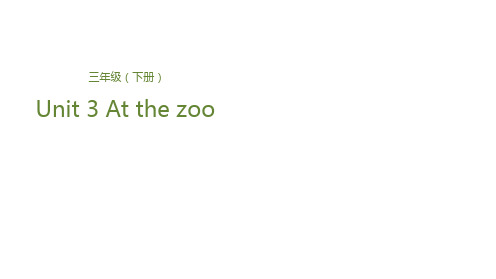 三年级下册英语课件Unit 3 At the zooLesson 1 动物园里的动物们 人教PPT